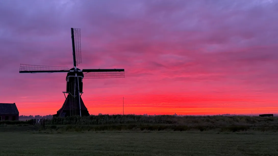 Dauwtrappen Cabauw 2